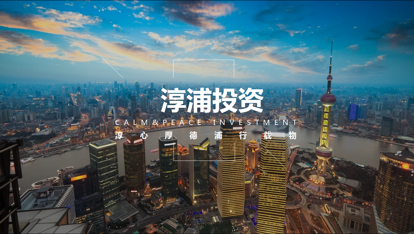 上海淳浦投资管理有限公司